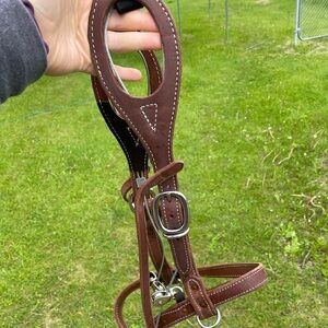 Buck buster bridle